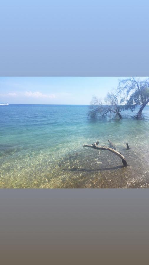 Maleo Moyo Hotel & Dive Resort Moyo Island 외부 사진