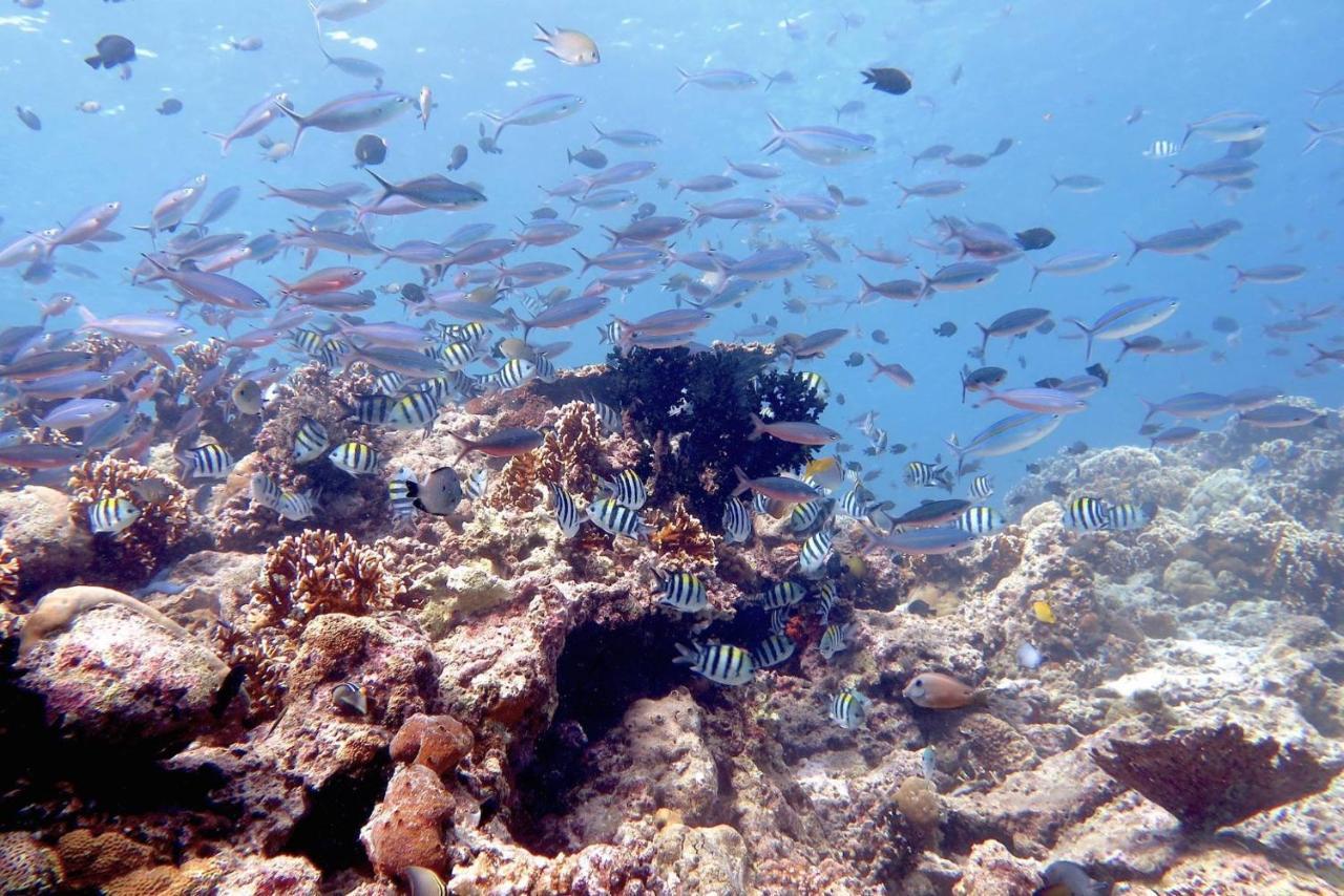 Maleo Moyo Hotel & Dive Resort Moyo Island 외부 사진