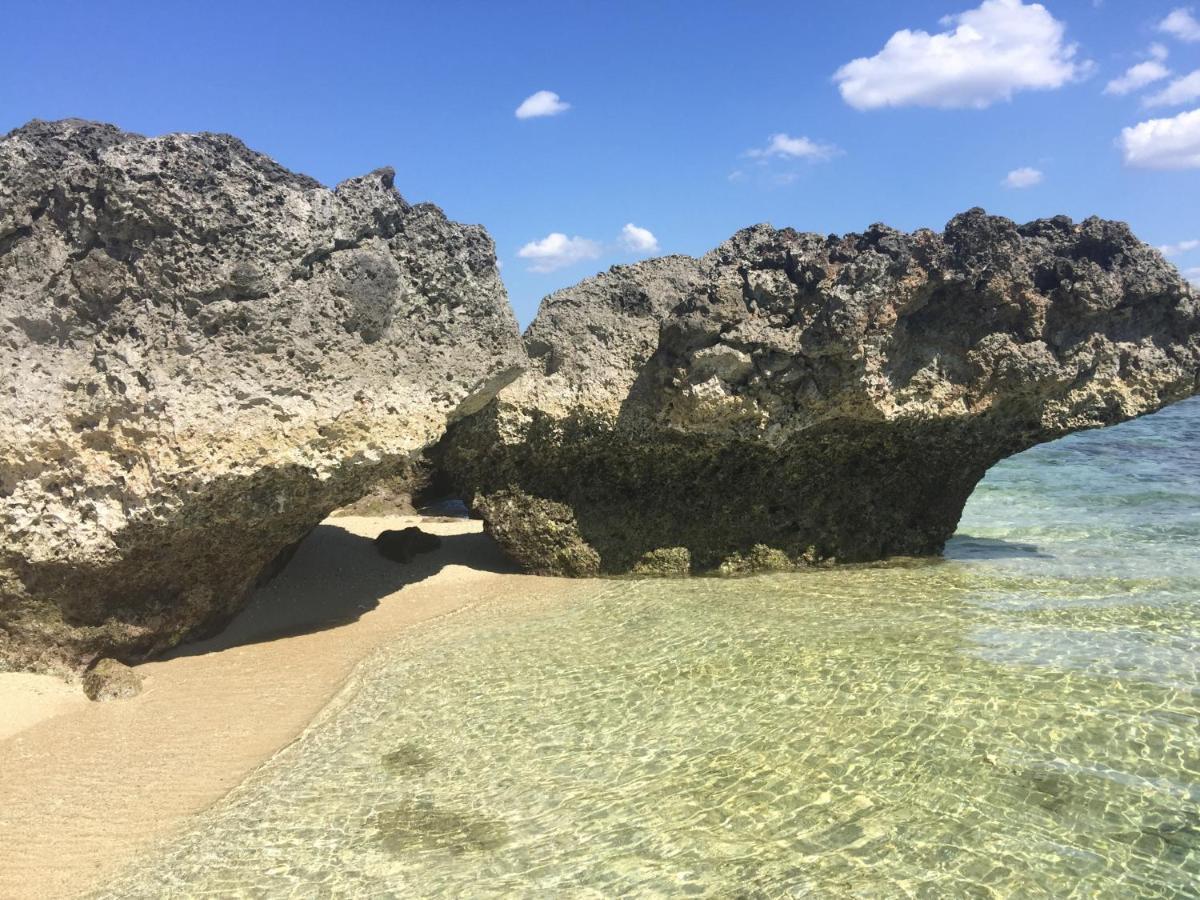 Maleo Moyo Hotel & Dive Resort Moyo Island 외부 사진
