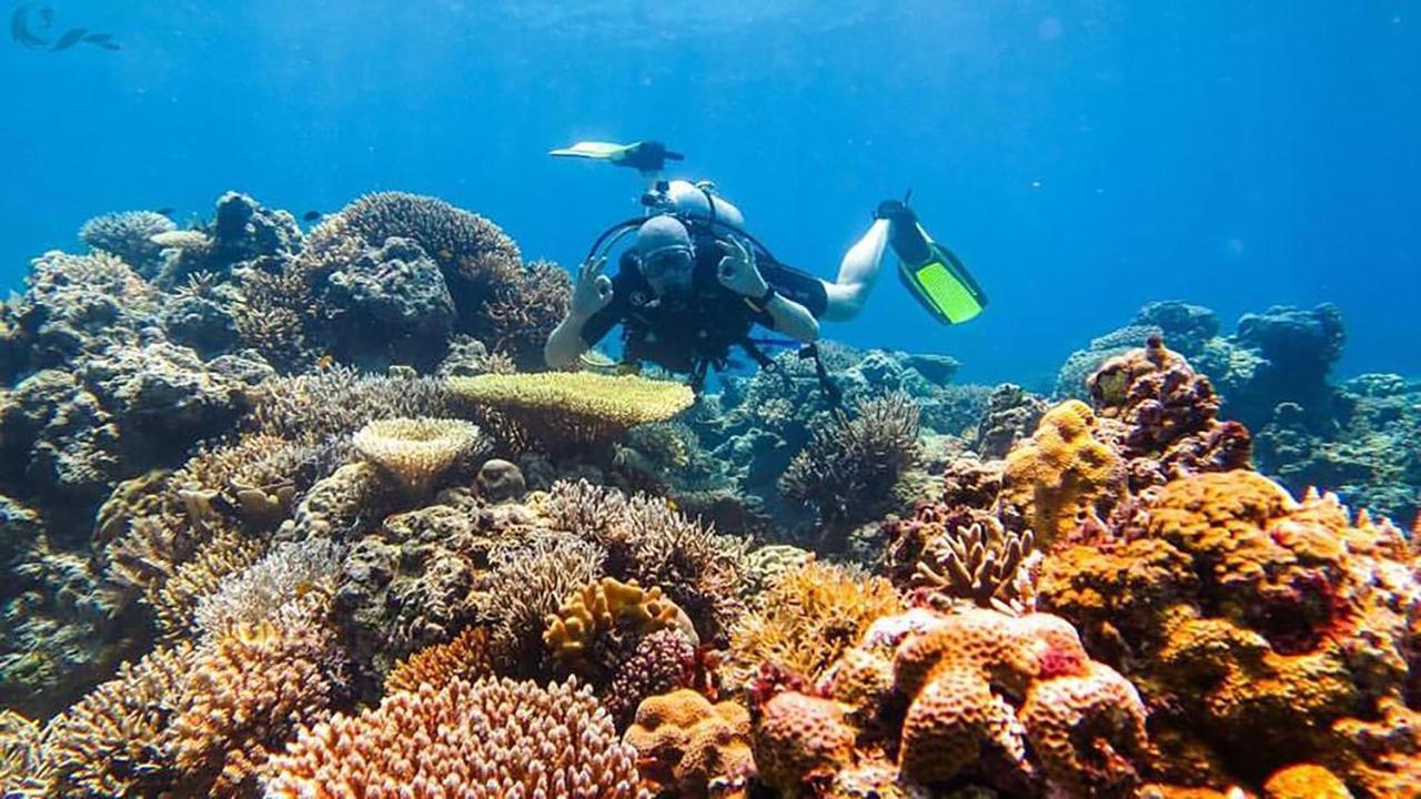 Maleo Moyo Hotel & Dive Resort Moyo Island 외부 사진
